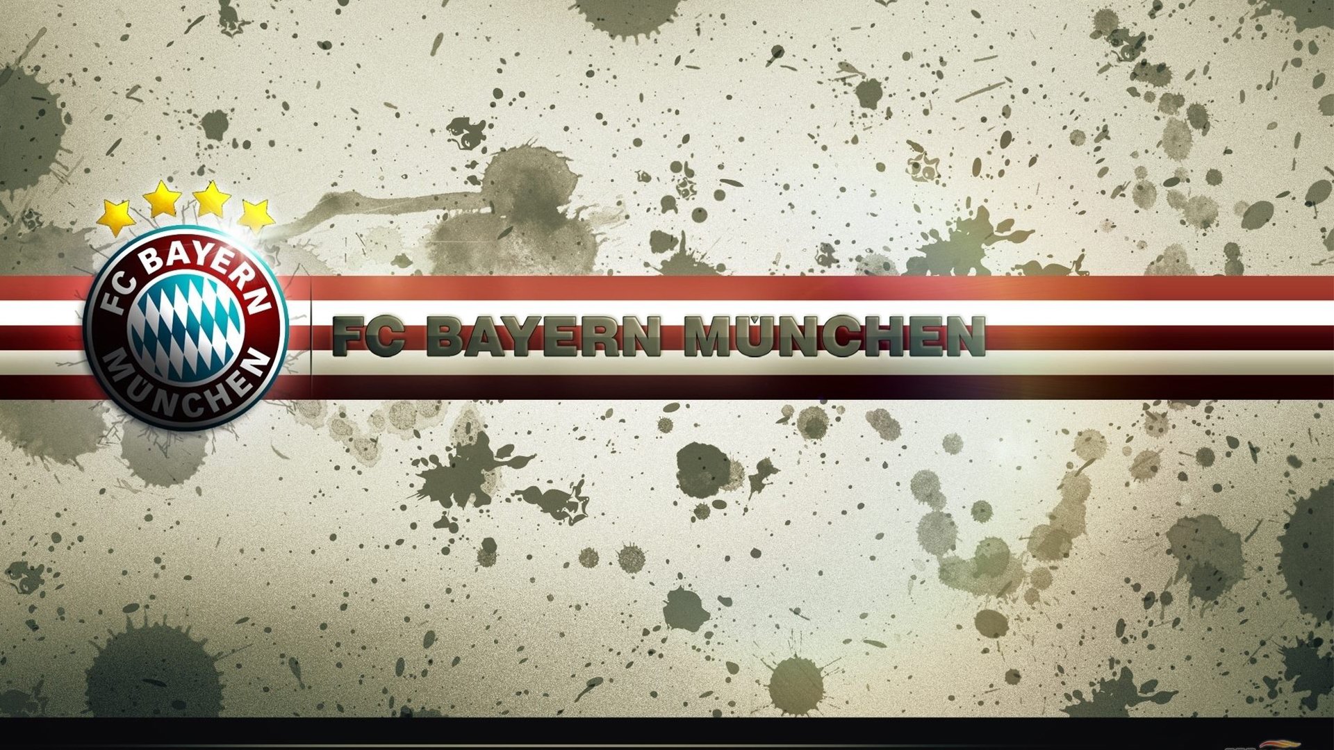 南非女泳将展现速度与技巧，南非游泳王妃